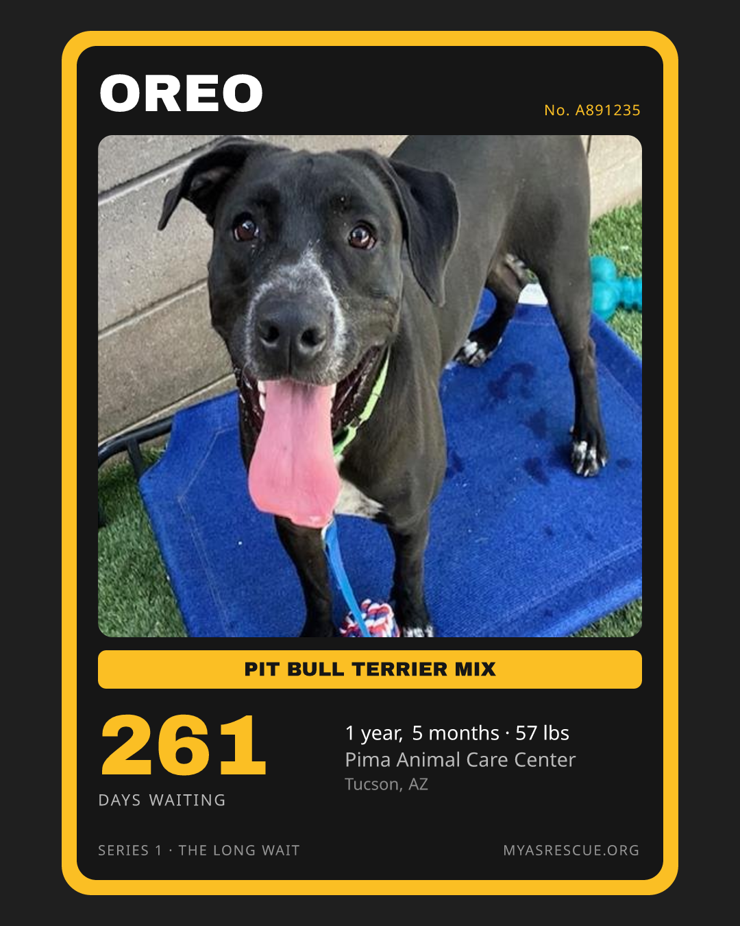 Oreo’s trading card, front
