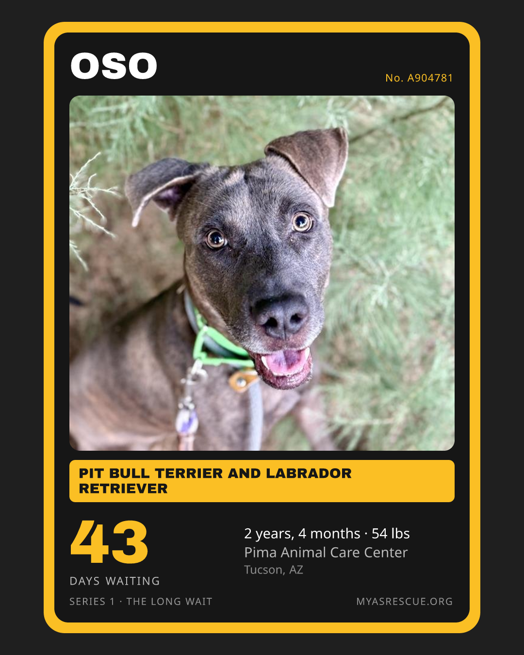 Oso’s trading card, front