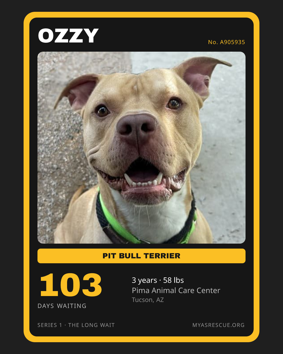 Ozzy’s trading card, front