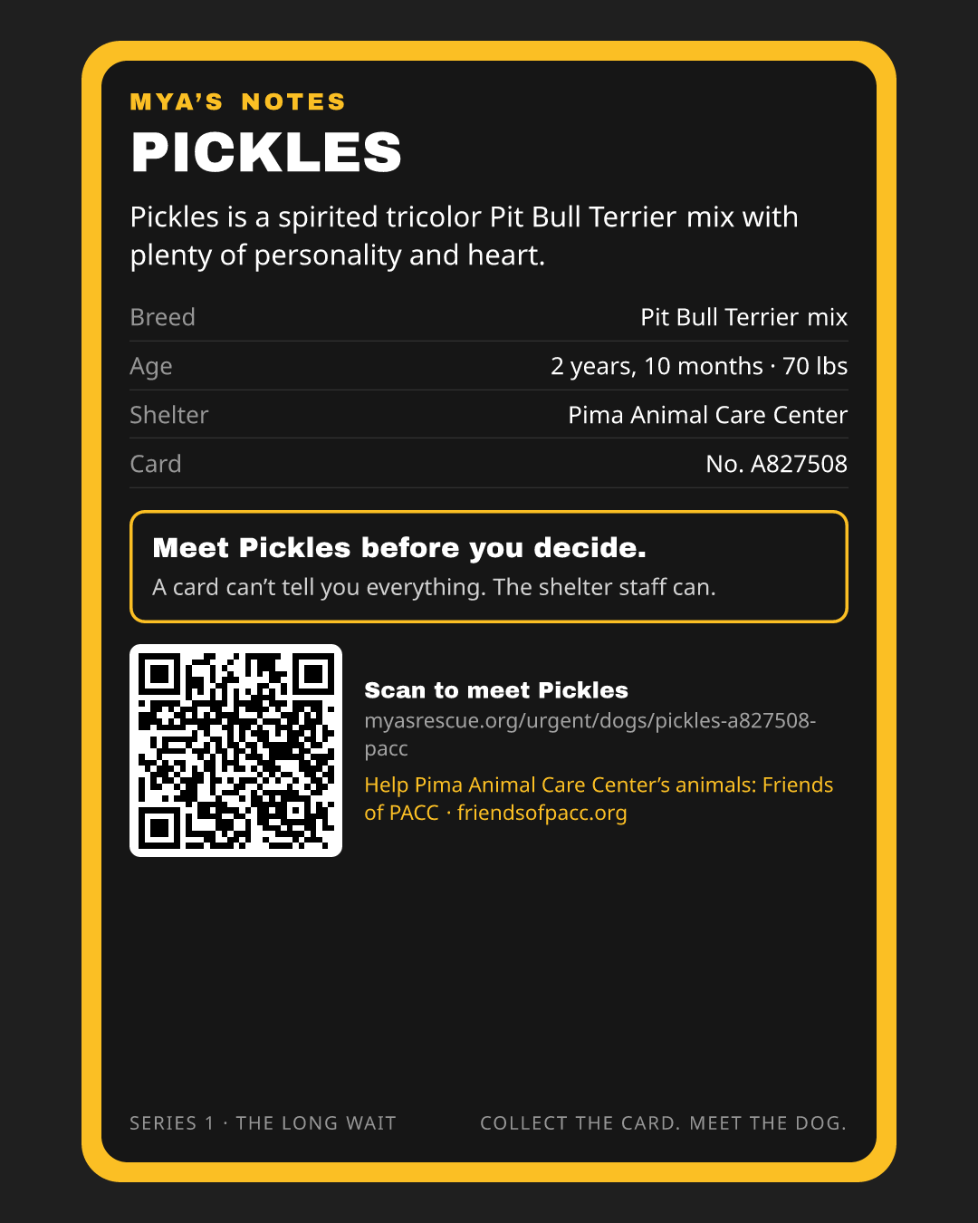 Pickles’s trading card, back