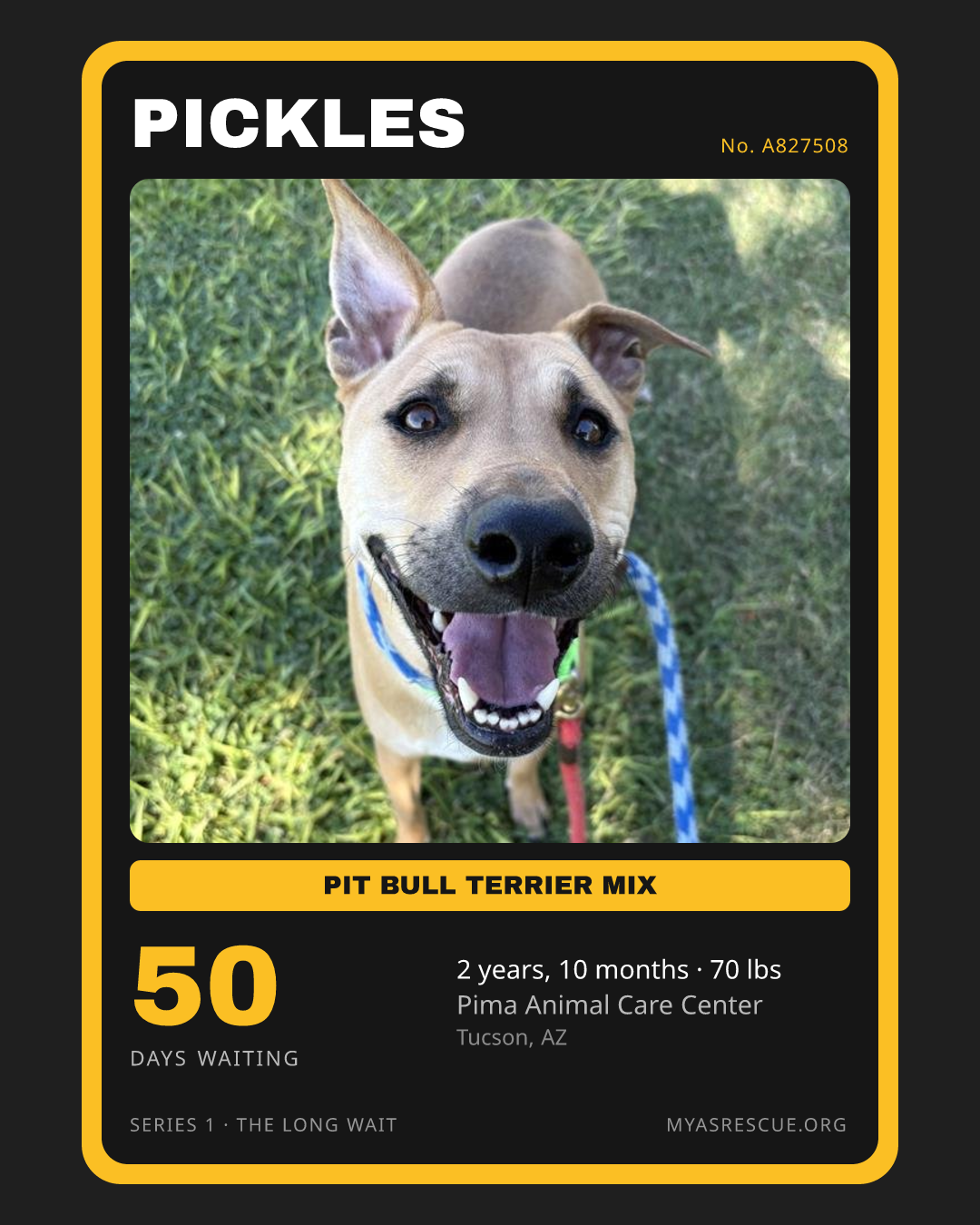Pickles’s trading card, front