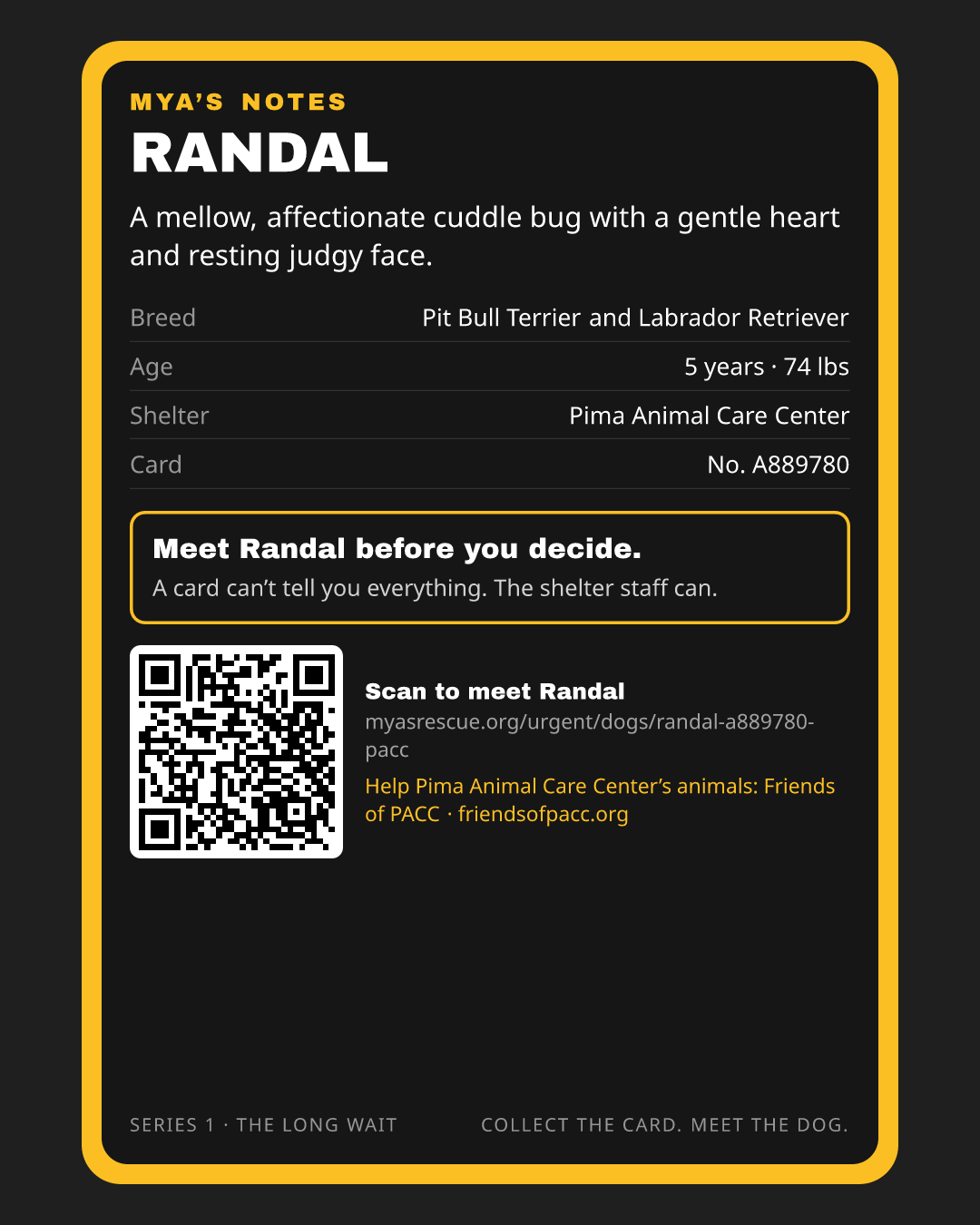 Randal’s trading card, back