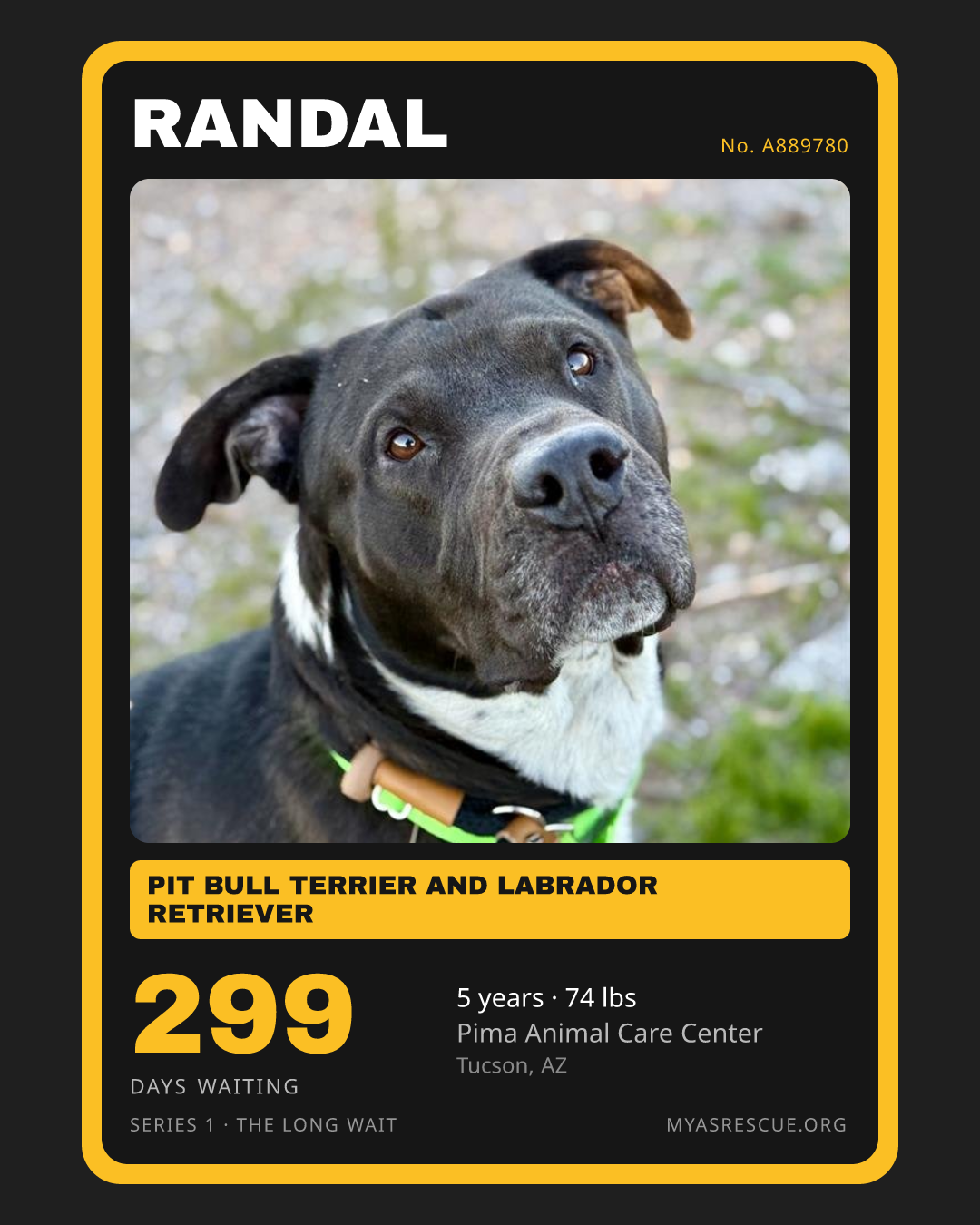 Randal’s trading card, front