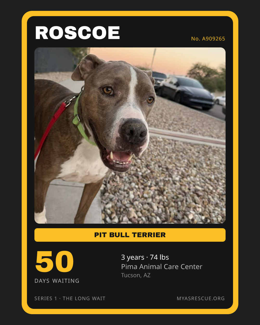 Roscoe’s trading card, front