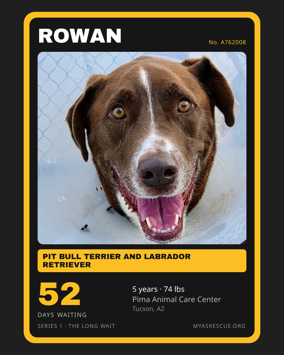 Rowan’s trading card, front