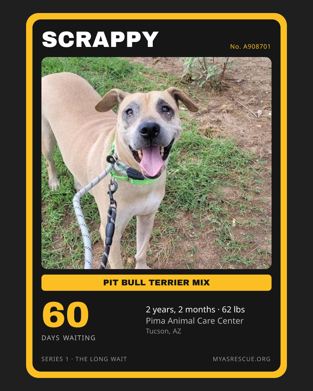Scrappy’s trading card, front