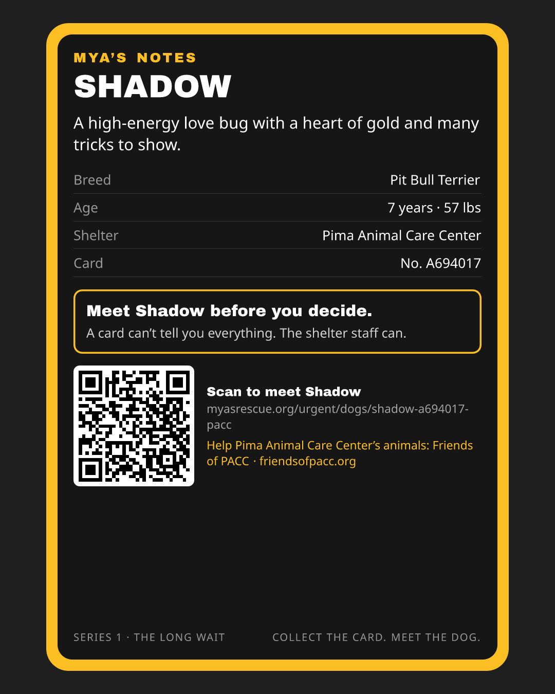 Shadow’s trading card, back