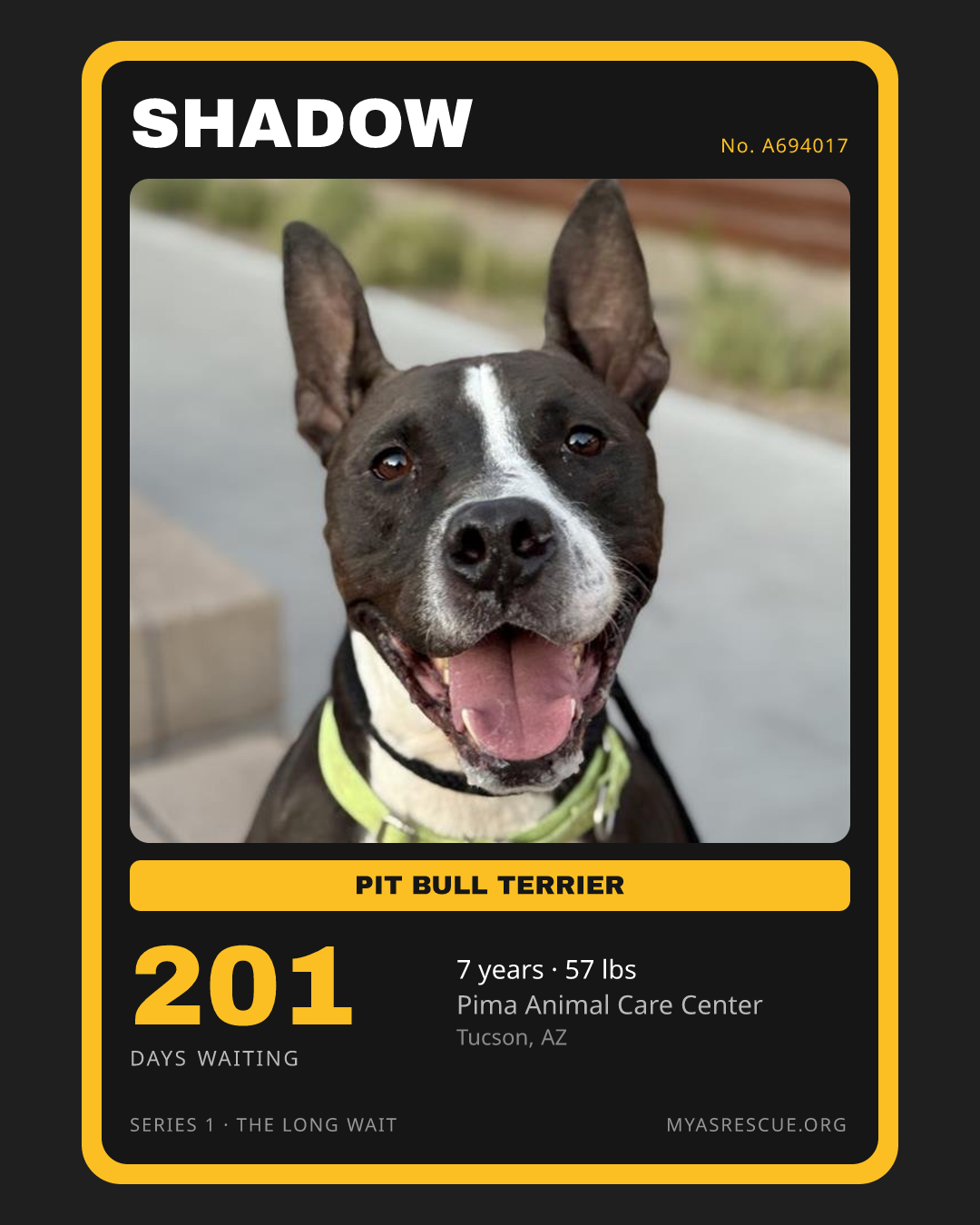 Shadow’s trading card, front