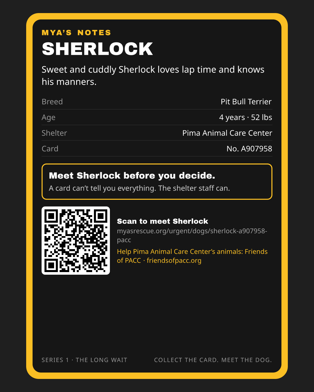 Sherlock’s trading card, back