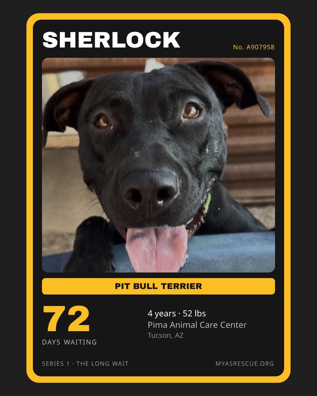Sherlock’s trading card, front
