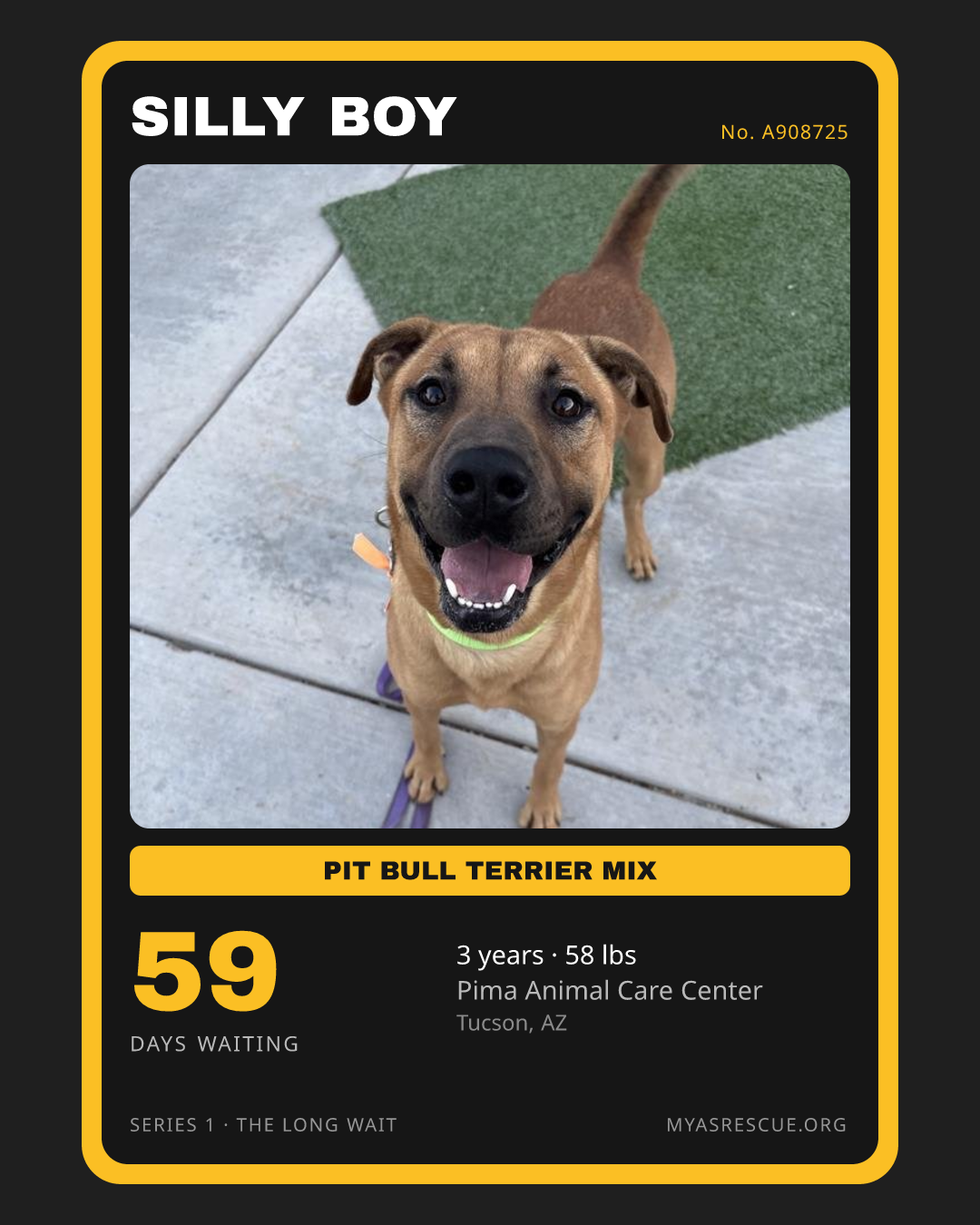 Silly Boy’s trading card, front