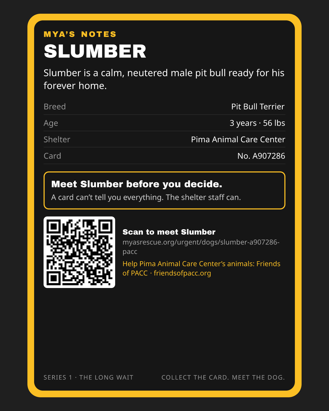Slumber’s trading card, back