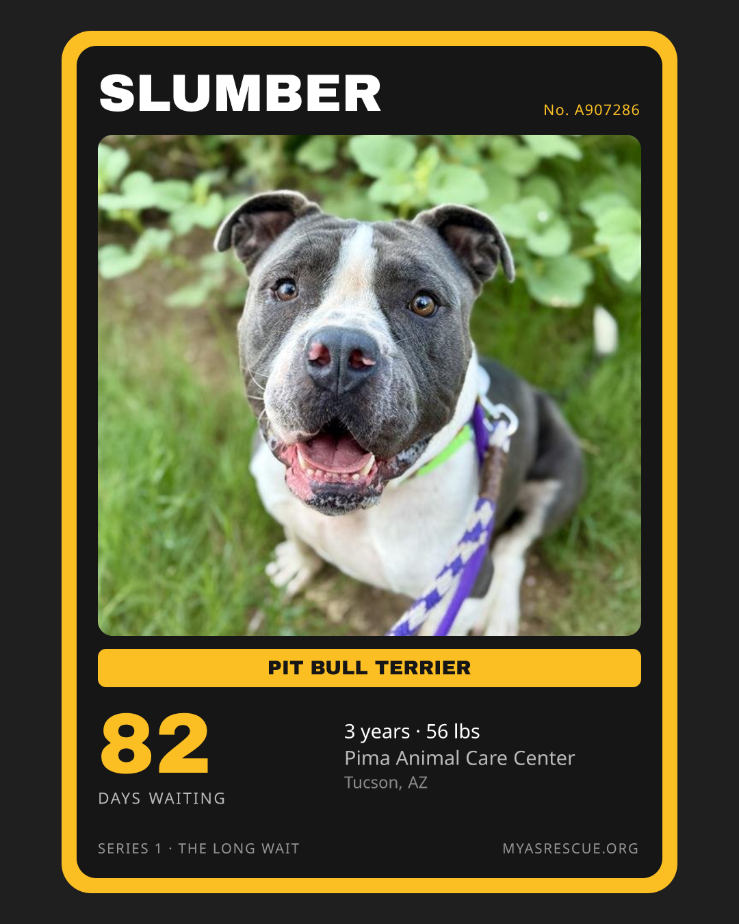 Slumber’s trading card, front
