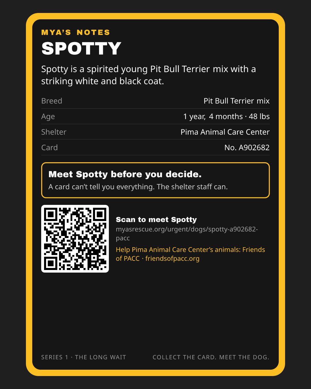 Spotty’s trading card, back