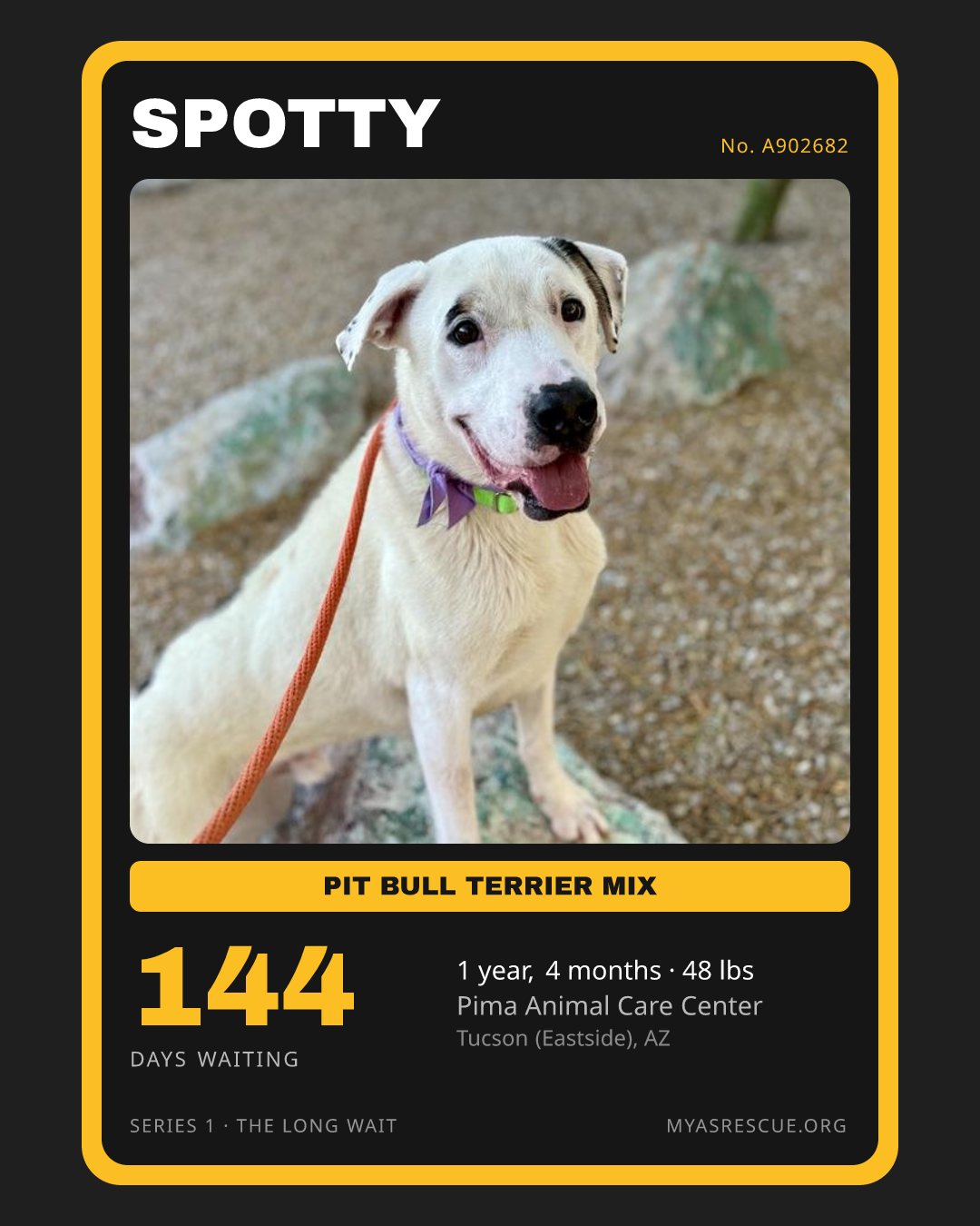 Spotty’s trading card, front