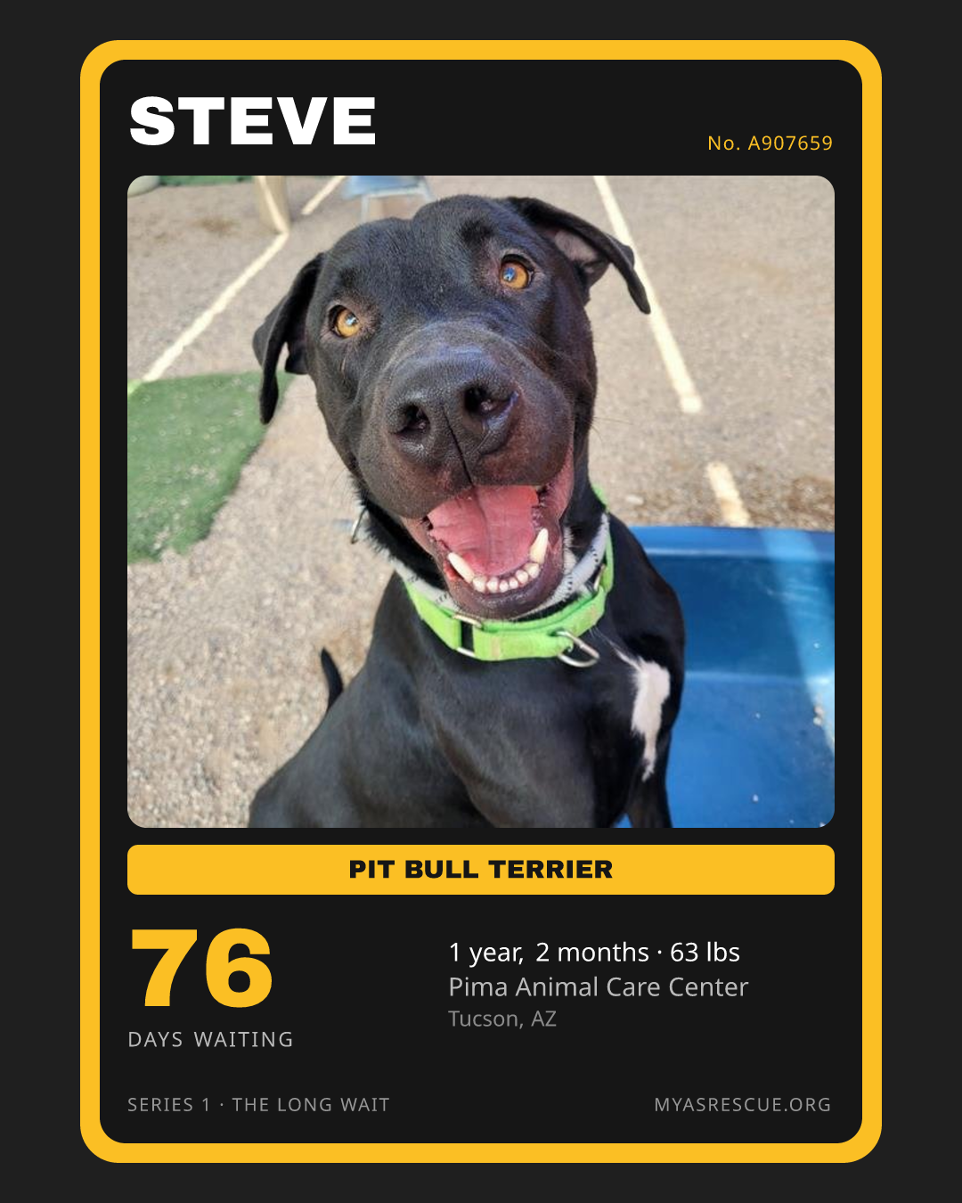 Steve’s trading card, front