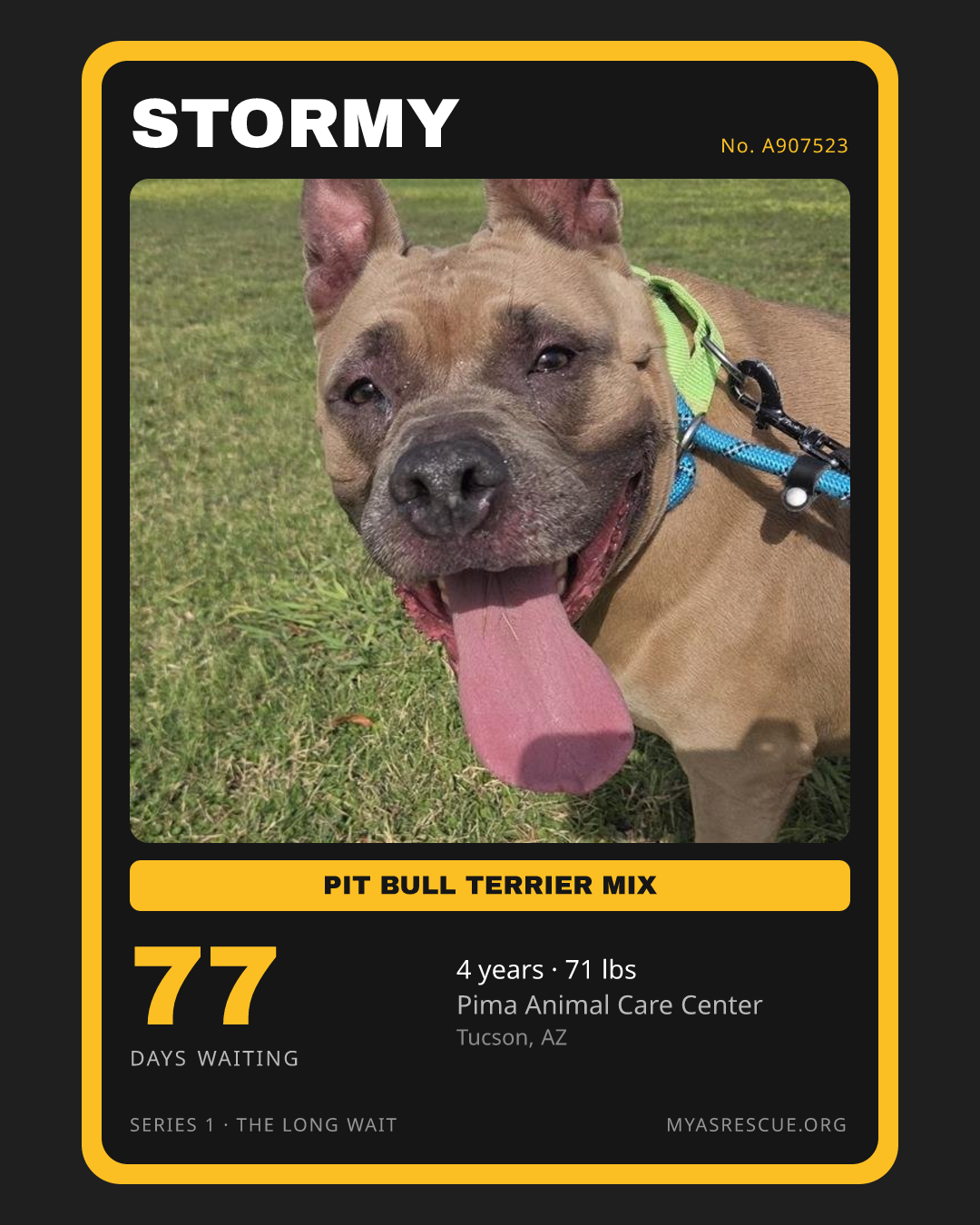 Stormy’s trading card, front