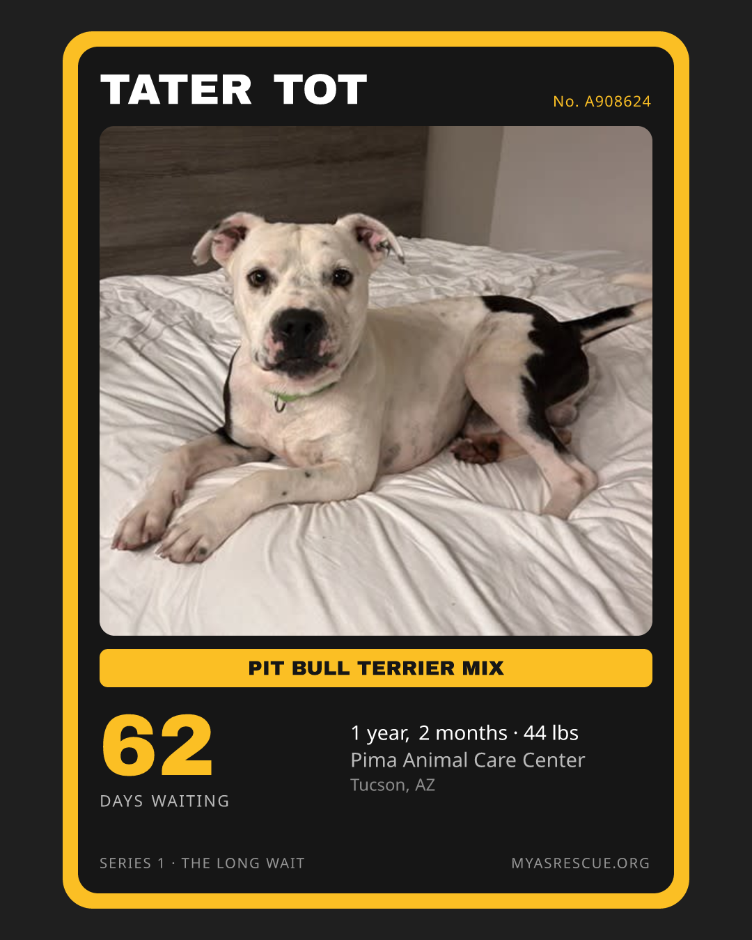Tater Tot’s trading card, front