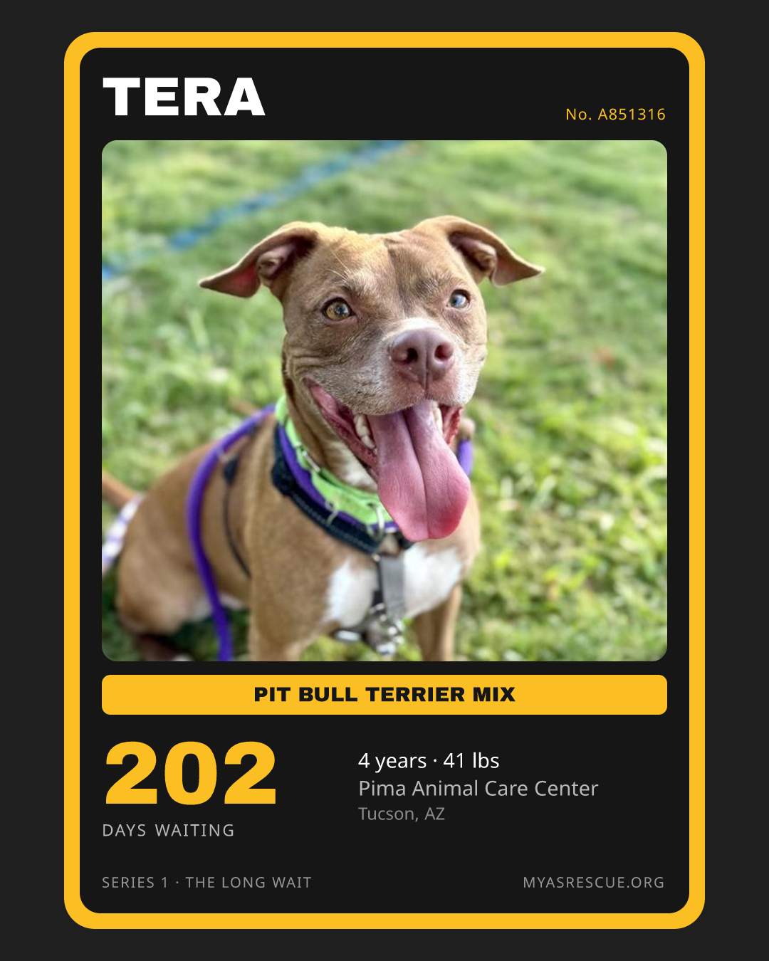 Tera’s trading card, front