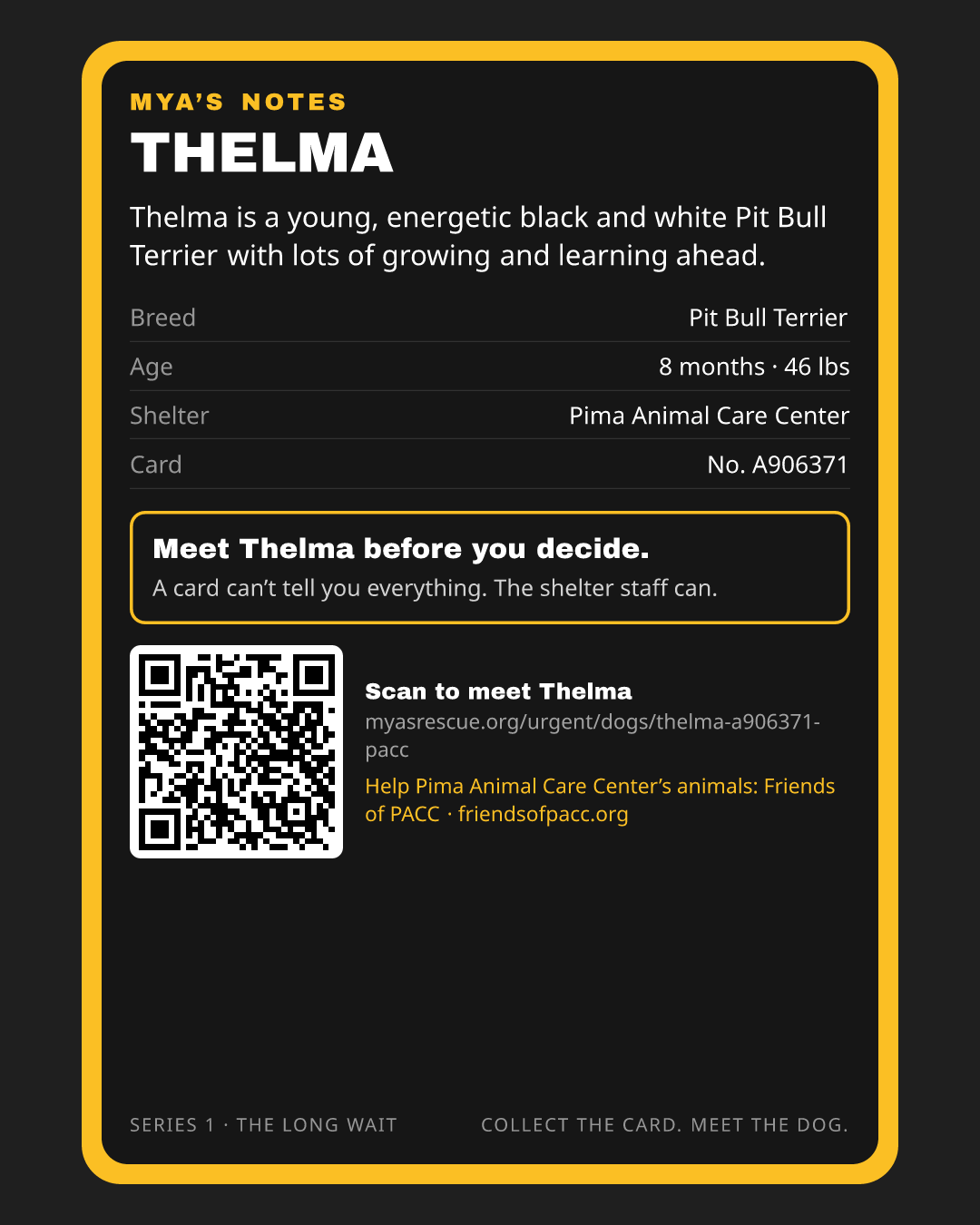 Thelma’s trading card, back