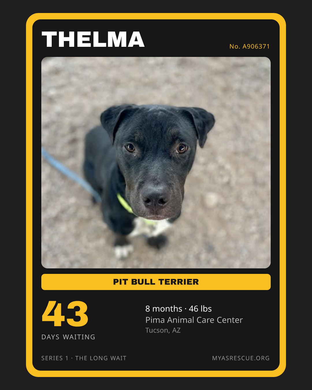 Thelma’s trading card, front