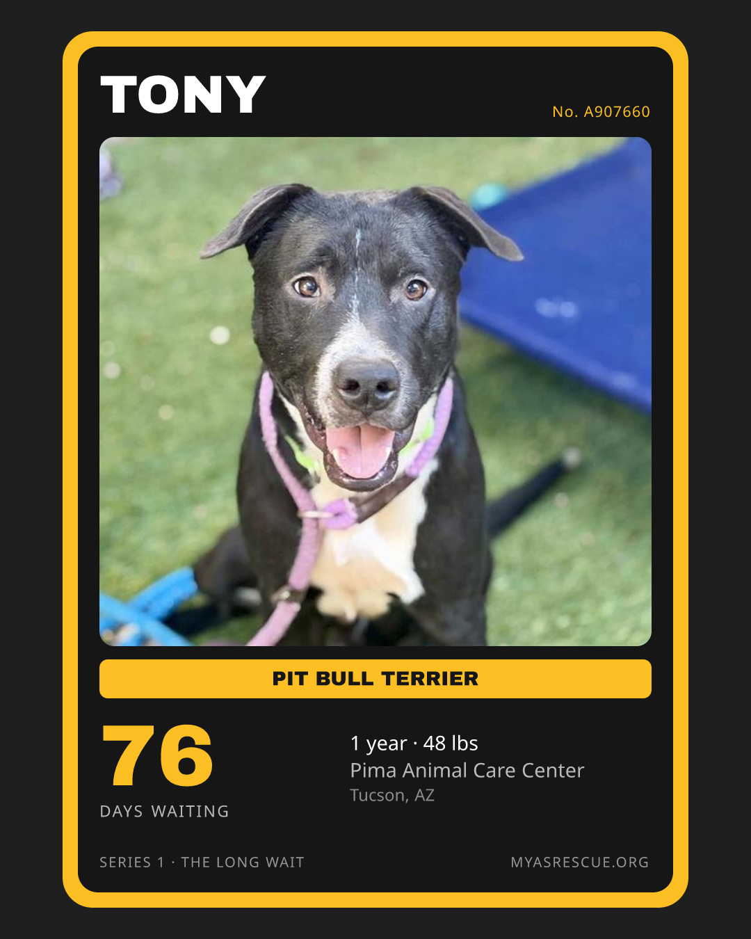 Tony’s trading card, front