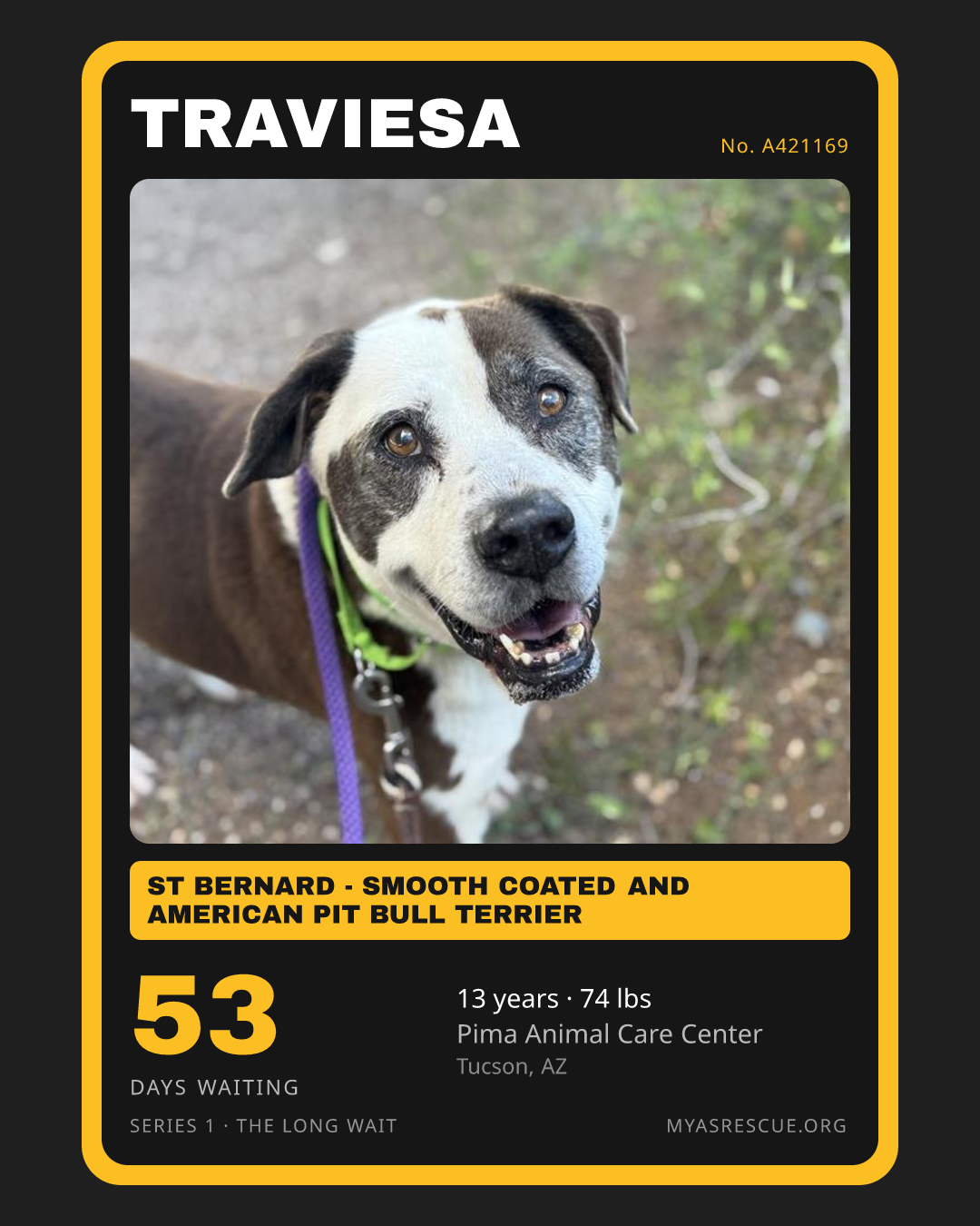 Traviesa’s trading card, front