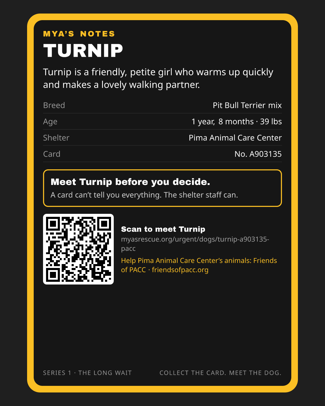 Turnip’s trading card, back