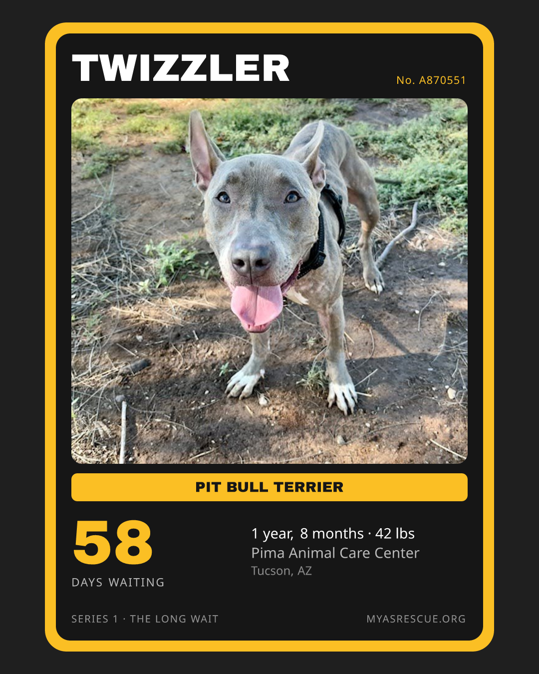 Twizzler’s trading card, front