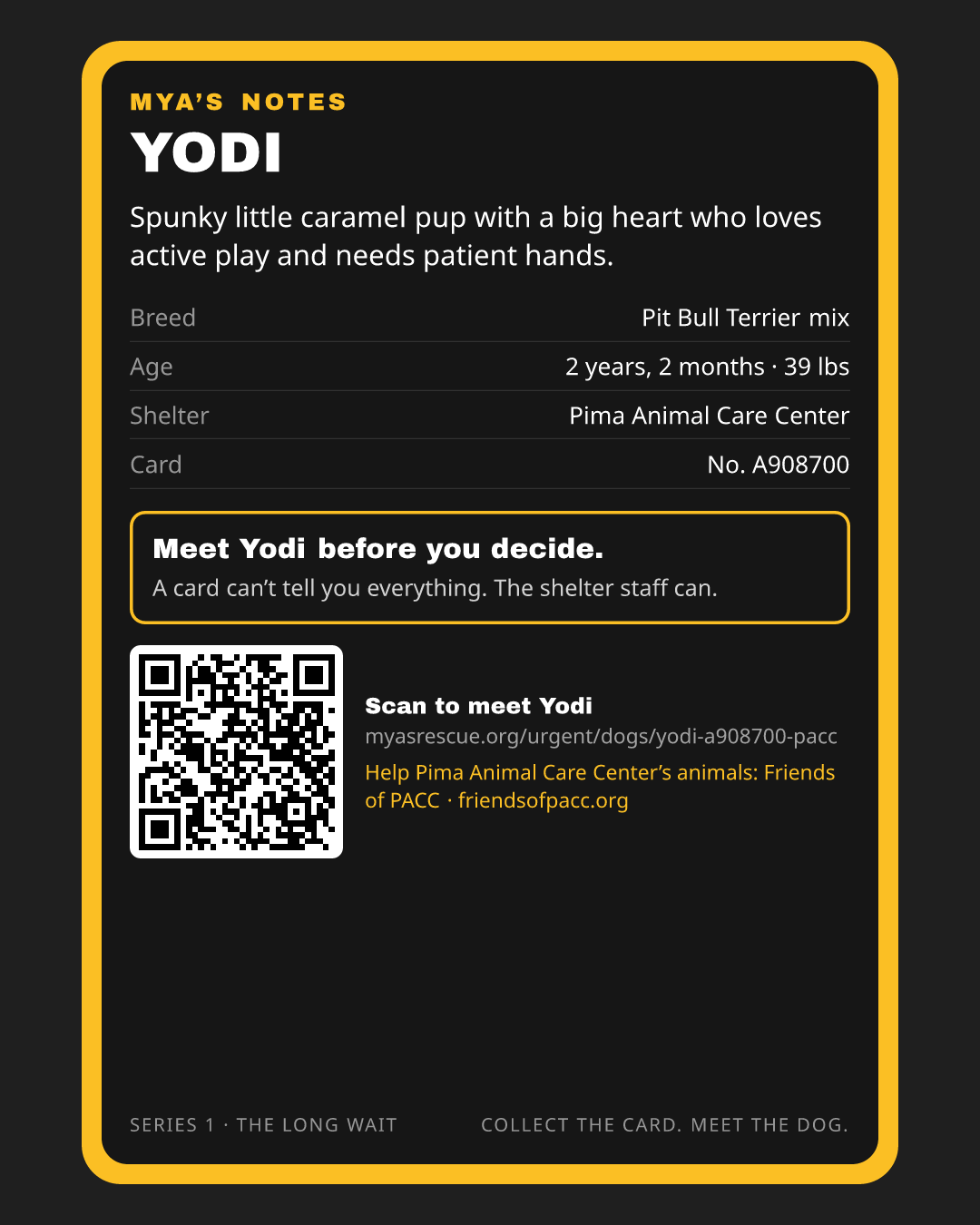 Yodi’s trading card, back