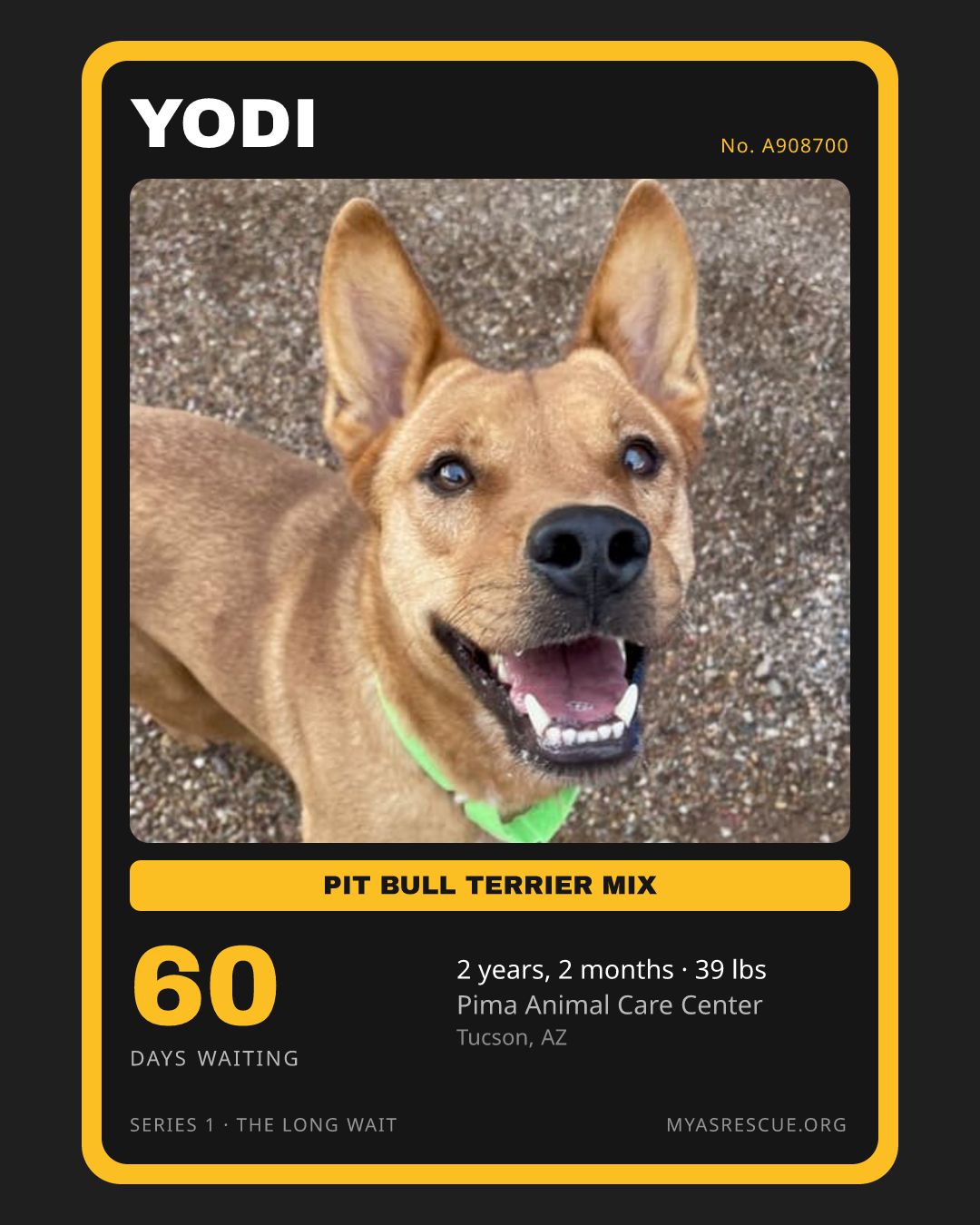 Yodi’s trading card, front