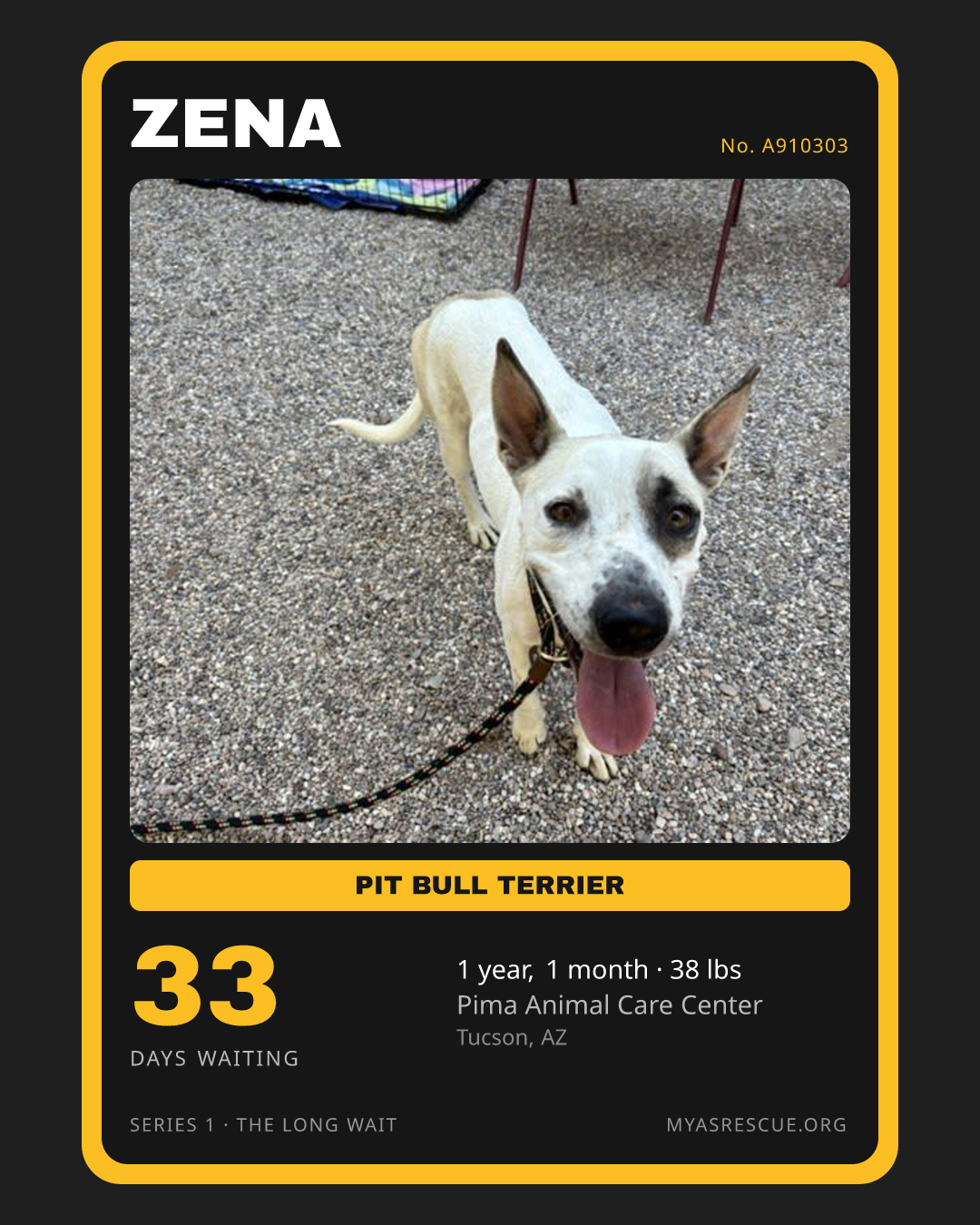 Zena’s trading card, front